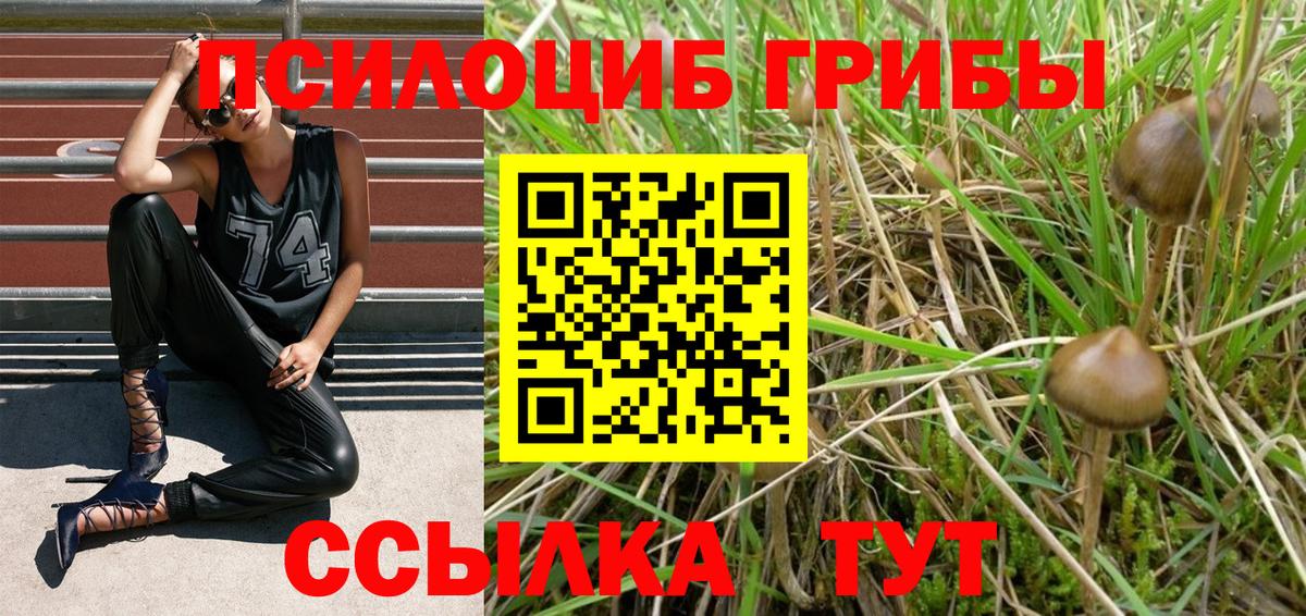 Донецк  Галлюциногенные грибы Psilocybe  как найти   Псилоцибиновые грибы мухоморы  Вход с VPN 